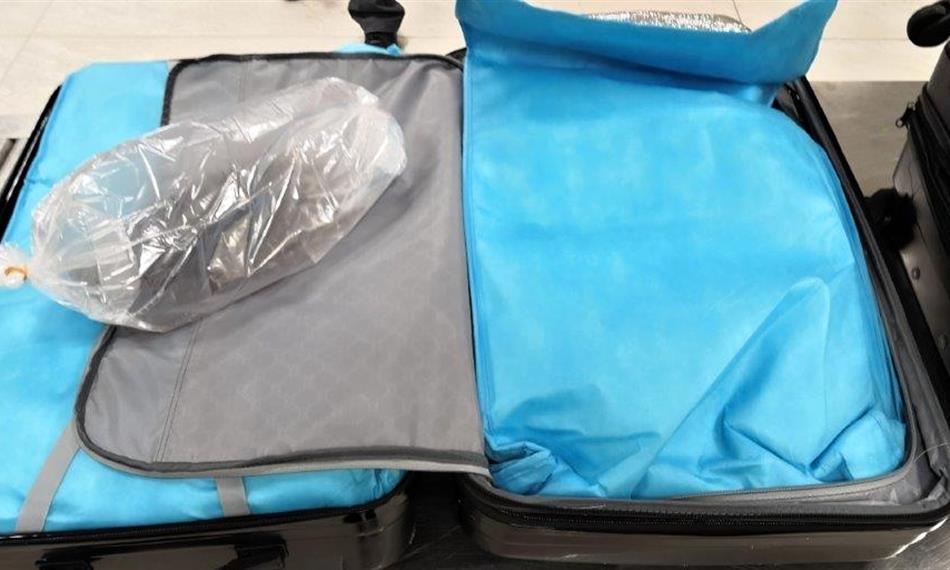 2019-5-30-831foto 3.jpg